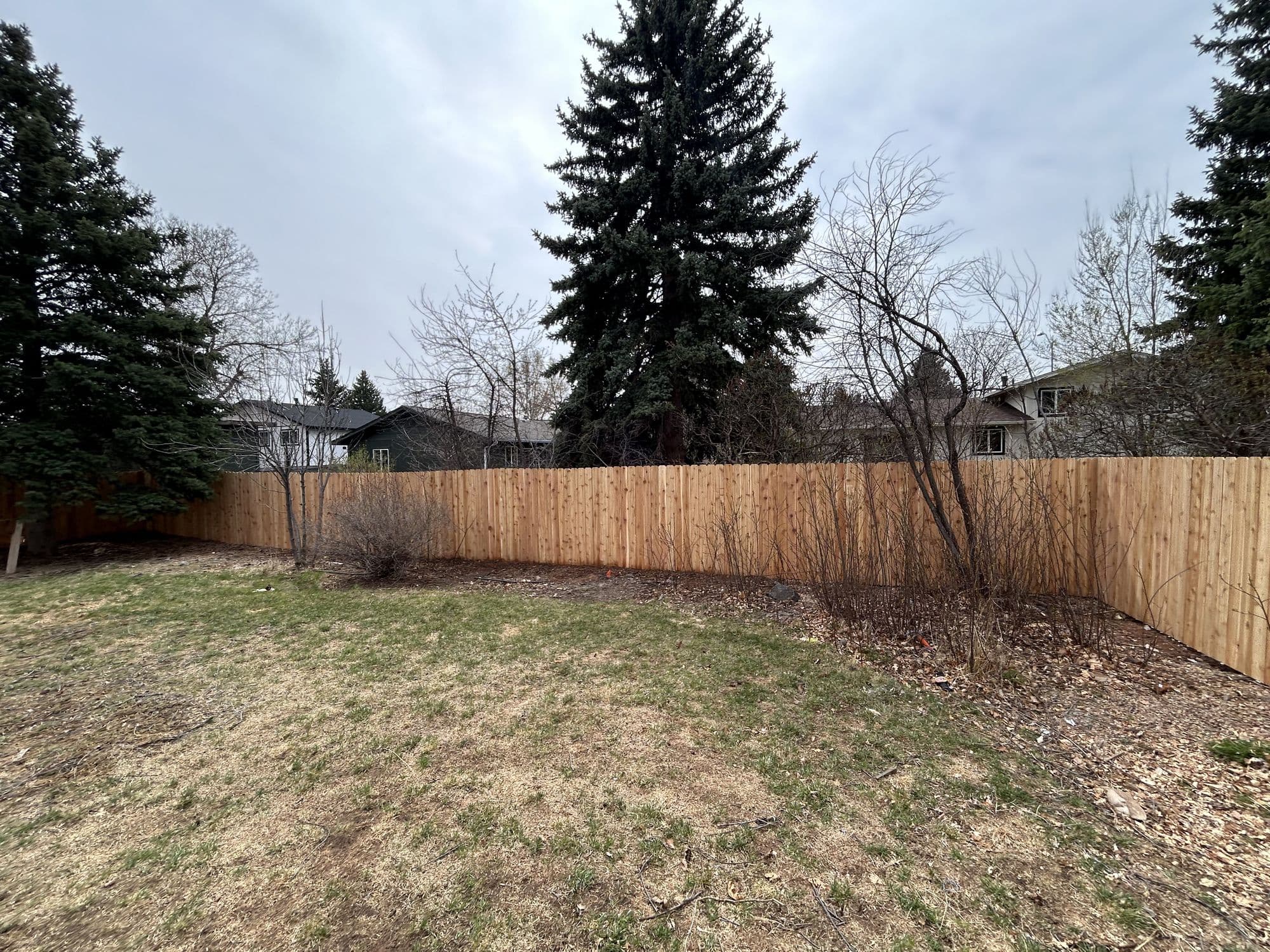 Fencing project by Grain & Glory